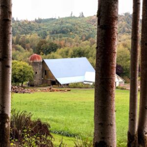 Wild Thyme Farm